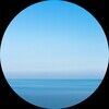 skyrack_491
